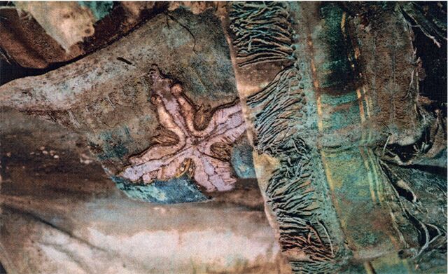 Историки раскрыли тайну захоронения в центре Челябинска - Вечерний Челябинск, 05.04.2026