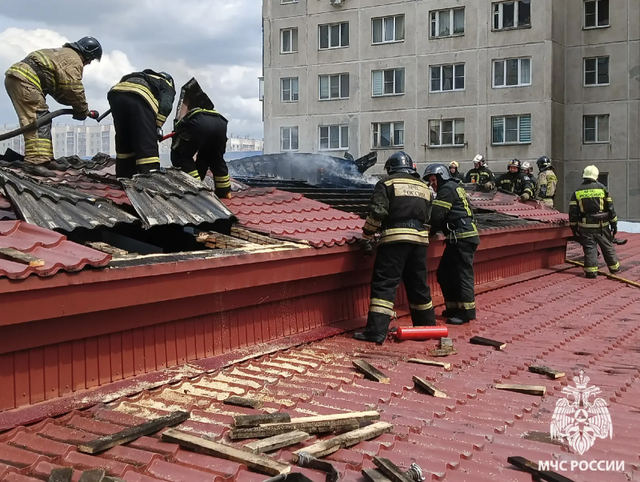 В МЧС назвали причину пожара в ветклинике на северо-западе Челябинска - Вечерний Челябинск, 04.06.2026