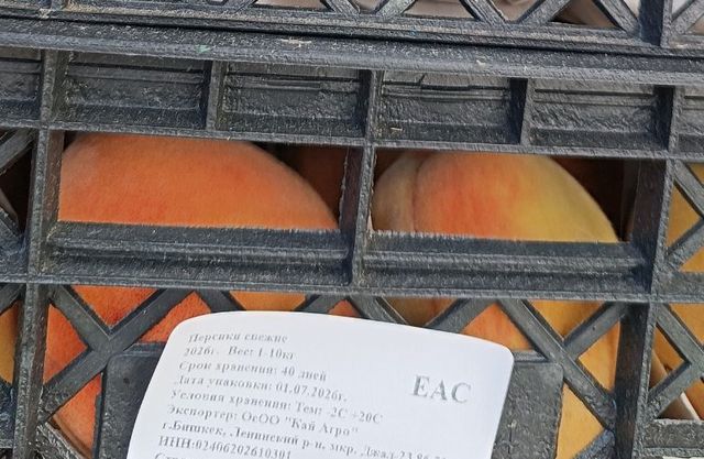 Таможенники не пустили 20 тонн персиков через границу с Челябинской областью - Вечерний Челябинск, 20.07.2026