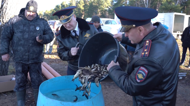 Полмиллиона мальков сазана выпустили в водохранилище Челябинска - Вечерний Челябинск, 23.10.2026