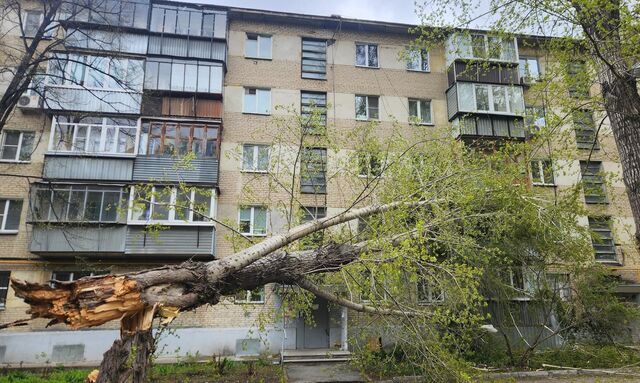 Упавшее дерево разрушило балкон в центре Челябинска - Телекомпания ОТВ. Челябинское областное телевидение, 29.04.2025