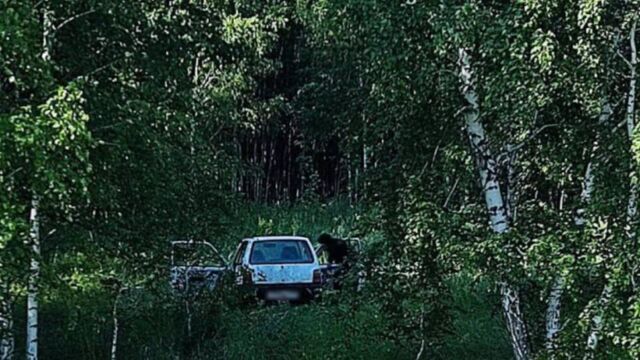 В Челябинской области задержали четырех подозреваемых в угоне авто - Телекомпания ОТВ. Челябинское областное телевидение, 05.07.2025