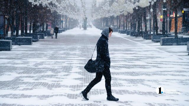 В Челябинской области резко похолодает и пройдут снегопады 9 ноября - Телекомпания ОТВ. Челябинское областное телевидение, 09.11.2025
