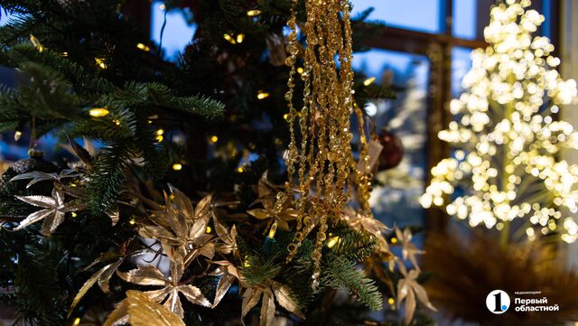 Жители Челябинской области бронируют загородные дома на новогодние каникулы - Телекомпания ОТВ. Челябинское областное телевидение, 09.11.2025