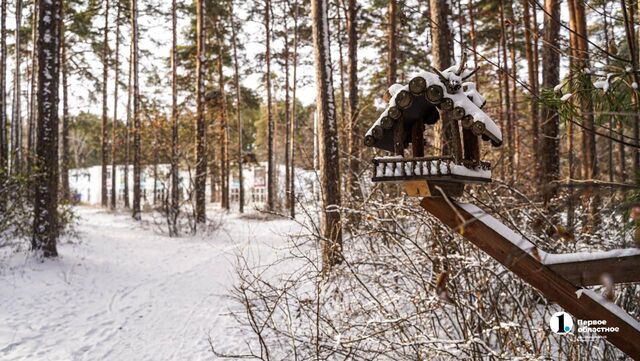 Зима-2026 в Челябинской области ожидается теплой - Телекомпания ОТВ. Челябинское областное телевидение, 09.11.2025