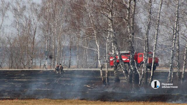 Из-за угрозы ландшафтных пожаров в Челябинской области усилят работу патрульных групп - Телекомпания ОТВ. Челябинское областное телевидение, 14.04.2026