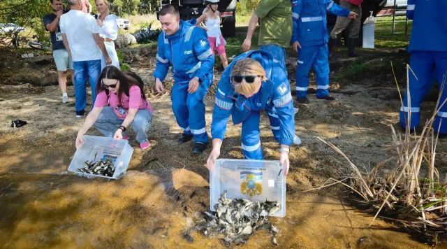 В Челябинске выпустили более 11 тысяч мальков сазана в Шершневское водохранилище - Телекомпания ОТВ. Челябинское областное телевидение, 09.09.2026