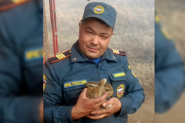 Спасатели вынесли зайчонка из горящего леса в Кизильском округе - Телекомпания ОТВ. Челябинское областное телевидение, 09.09.2026
