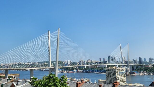 Картина дня в Приморье: пожар на судне, отравление газом в ТЦ и пострадавший ребенок - Восток-Медиа | Новости Приморья и Владивостока, 29.06.2025