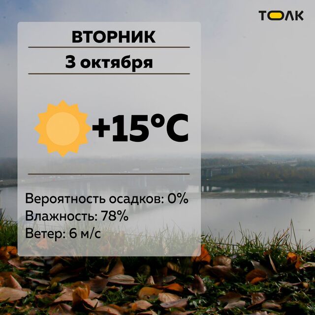 Всем доброе утро! - ТОЛК, 03.10.2023