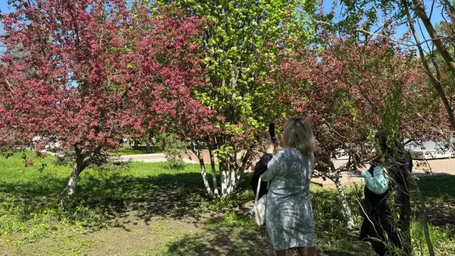 Парк Ленина в Уфе предлагают сделать «говорящим» и полным башкирских орнаментов - Новости Уфы и Республики Башкортостан - UfaTime.ru, 23.05.2025