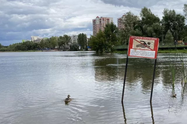 В Башкирии из водоемов достали трупы мужчин - Новости Уфы и Республики Башкортостан - UfaTime.ru, 13.07.2025