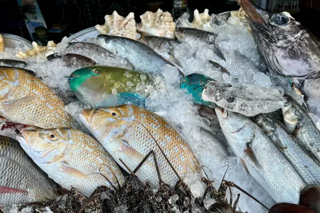 Эксперты: карповые рыбы могут быть источниками опасного заболевания - Новости Уфы и Республики Башкортостан - UfaTime.ru, 03.11.2025