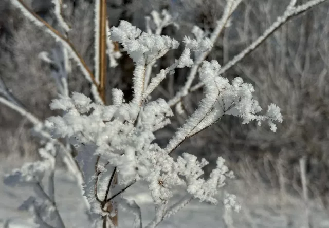 В ближайшие сутки на Башкирию обрушится непогода - Новости Уфы и Республики Башкортостан - UfaTime.ru, 04.11.2025