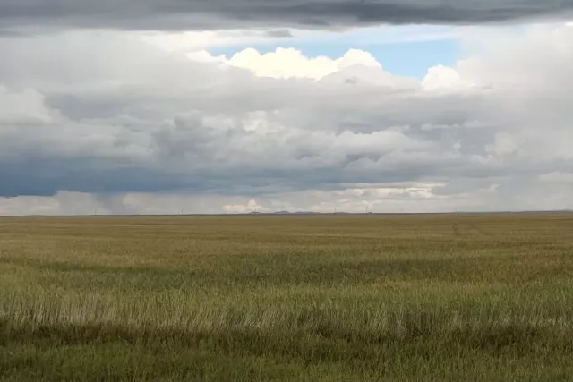 В Уфе могут организовать кладбище для домашних животных - Новости Уфы и Республики Башкортостан - UfaTime.ru, 19.11.2025