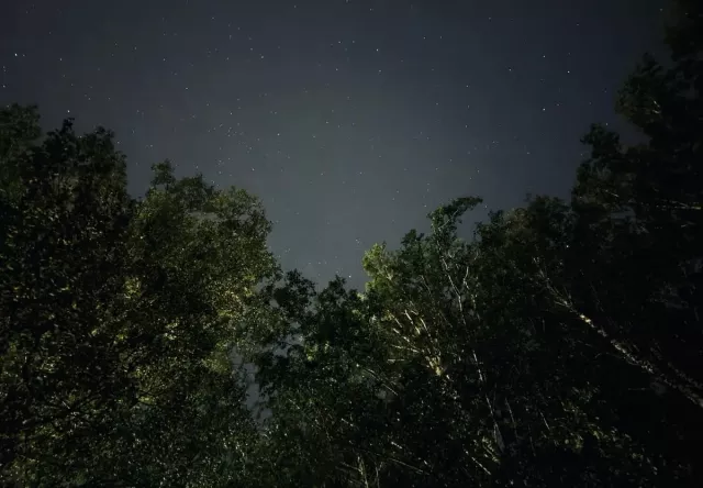 Специалисты разработали сценарий масштабного отключения Интернета - Новости Уфы и Республики Башкортостан - UfaTime.ru, 19.11.2025