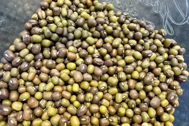 Меньше мяса – легче кожа: как питание влияет на хроническое воспаление - Новости Уфы и Республики Башкортостан - UfaTime.ru, 28.02.2026