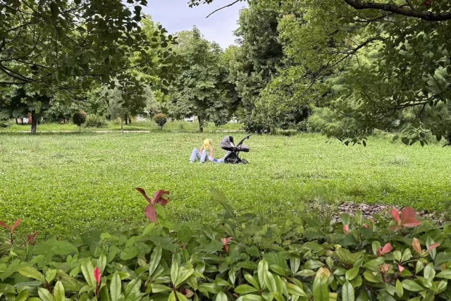 В Уфе утвердили план мероприятий к Году большой и дружной семьи В Уфе утвердили план мероприятий к Году большой и дружной семьи - Новости Уфы и Республики Башкортостан - UfaTime.ru, 03.03.2026