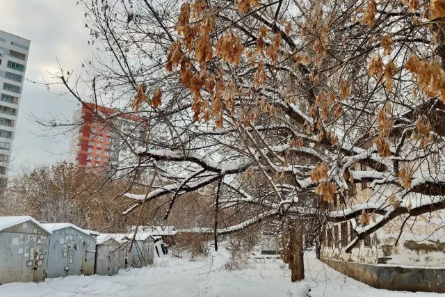 Специалисты Росреестра объяснили порядок действий по «гаражной амнистии» - Новости Уфы и Республики Башкортостан - UfaTime.ru, 14.03.2026