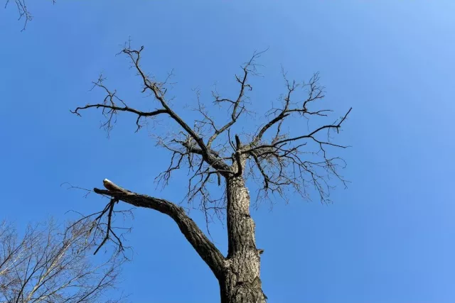 Жителей Уфы предупредили о возможных штрафах за самоуправство в своем дворе - Новости Уфы и Республики Башкортостан - UfaTime.ru, 18.04.2026