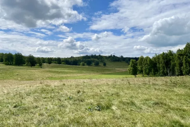 В Башкирии построят новый завод, оптовый центр и бытовой комплекс - Новости Уфы и Республики Башкортостан - UfaTime.ru, 20.04.2026