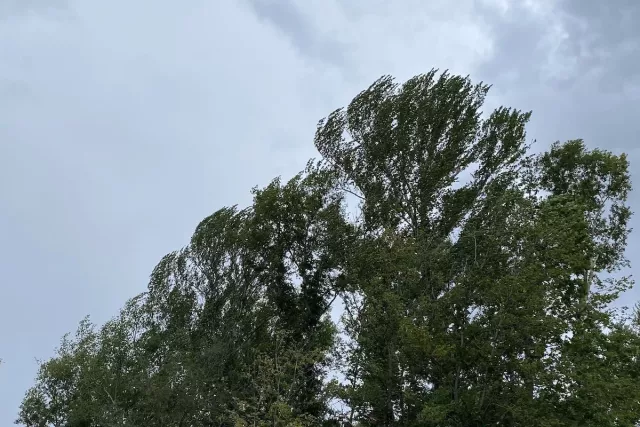 Осторожно на улице: региональное МЧС предупредило о надвигающейся непогоде - Новости Уфы и Республики Башкортостан - UfaTime.ru, 20.04.2026