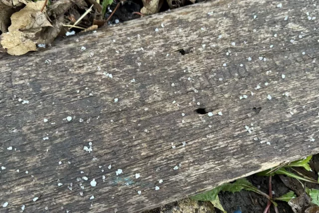 Спасатели предупреждают жителей Башкирии о сильном ветре и граде - Новости Уфы и Республики Башкортостан - UfaTime.ru, 24.04.2026