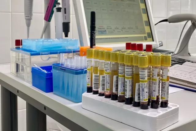 Названа простая привычка, которая снижает риск развития рака - Новости Уфы и Республики Башкортостан - UfaTime.ru, 24.04.2026