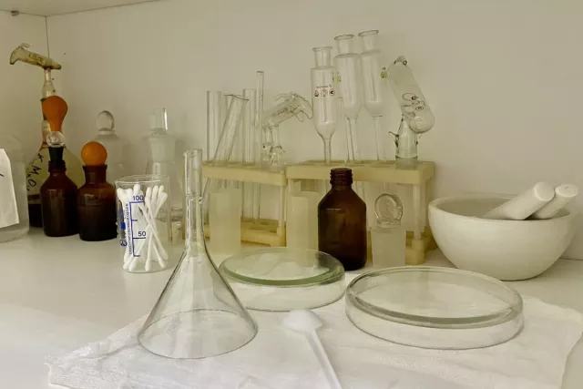 Представлена новая теория происхождения человека - Новости Уфы и Республики Башкортостан - UfaTime.ru, 29.04.2026