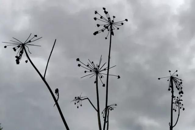 В двух городах Башкирии зафиксирован высокий уровень загрязнения воздуха - Новости Уфы и Республики Башкортостан - UfaTime.ru, 29.04.2026