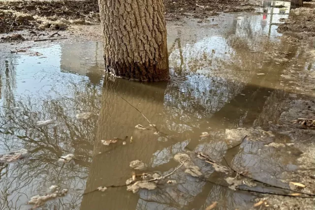Воду с участков под Уфой пришлось откачивать мотопомпой - Новости Уфы и Республики Башкортостан - UfaTime.ru, 29.04.2026