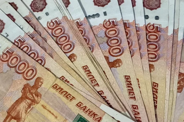 В Уфе почти 13 тысяч пуховиков выставили на торги за 20,8 млн рублей - Новости Уфы и Республики Башкортостан - UfaTime.ru, 24.06.2026
