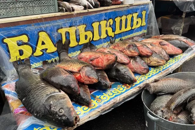 Заболеваемость описторхозом в Башкирии выросла в 2,3 раза - Новости Уфы и Республики Башкортостан - UfaTime.ru, 09.09.2026