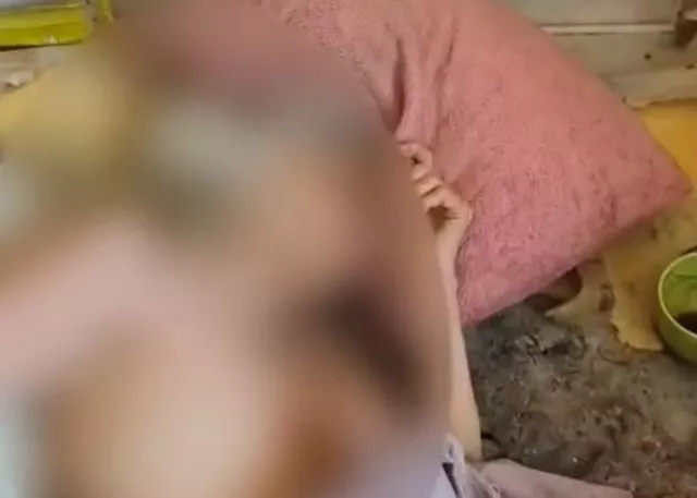 В Краснодаре завели уголовное дело после обнаружения пенсионерки в жутких условиях - Yug-24.ru - Главные новости Краснодара и Краснодарского края, 24.06.2025