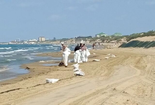 Волонтеры сообщили о масштабном мазутном загрязнении берегов Керченского пролива - Yug-24.ru - Главные новости Краснодара и Краснодарского края, 30.10.2025