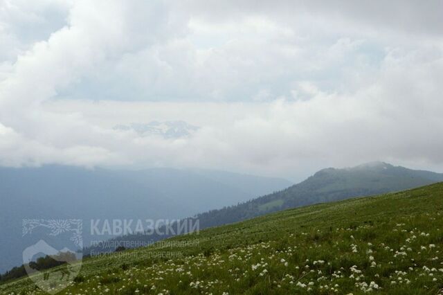 Спасатели ищут туриста из Краснодара, загадочно пропавшего на горе Тыбга в Адыгее - Yug-24.ru - Главные новости Краснодара и Краснодарского края, 20.11.2025