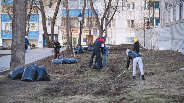 Губернатор Приморья поблагодарил жителей, вышедших на субботник - Восток-Медиа, 27.04.2025