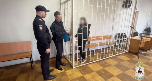 19-летнюю девушку, избившую мужчину в Ветлуге, нашли и арестовали - Новости Нижнего Новгорода и Нижегородской области - NewsNN, 09.05.2025