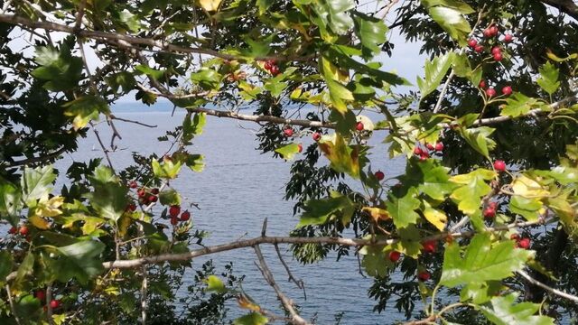 Выставка детского рисунка «Родные просторы» (0+) начала работу во Владивостоке - Восток-Медиа, 09.05.2025