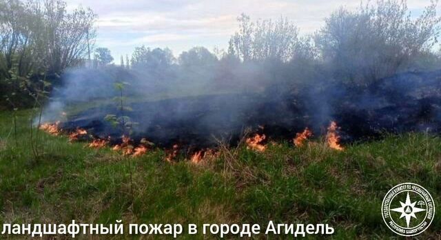 Сухостой загорелся в нескольких районах Башкирии - Новости Уфы и Башкирии - Медиакорсеть, 09.05.2025