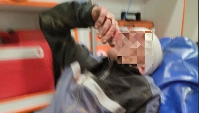 «Она сказала фас»: в Каменске-Уральском стаффорды чуть не разорвали мужчину - Новости Нижнего Тагила и Свердловской области - TagilCity, 10.05.2025