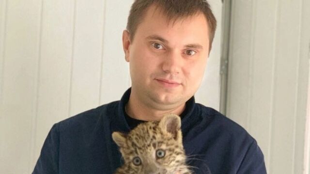 Кленовый лист и тлетворное влияние Запада… - Новости Челябинска и Челябинской области - Курс Дела, 17.05.2025