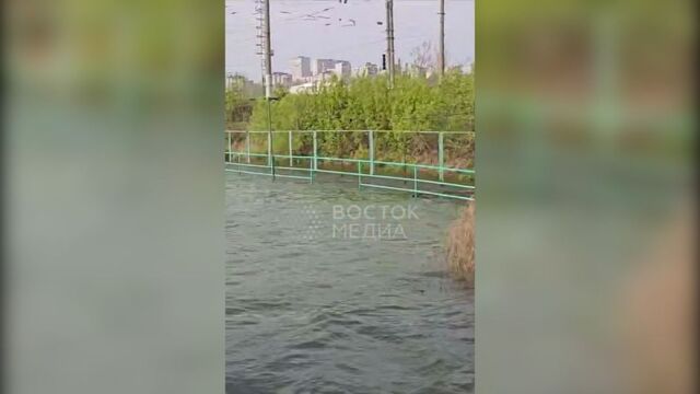 Озеро Чан во Владивостоке вышло из берегов после сильных дождей — видео - Восток-Медиа, 19.05.2025