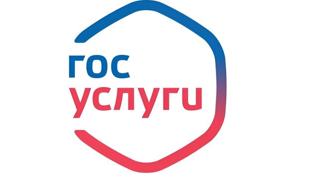 Об опасности Госуслуг предупредил хабаровчан депутат Госдумы - Transsibinfo, 22.05.2025
