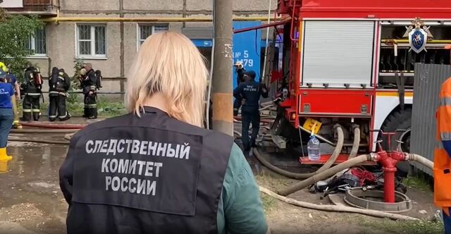 СК возбудил уголовное дело после гибели нижегородки в пожаре на Пермякова - Новости Нижнего Новгорода и Нижегородской области - NewsNN, 30.05.2025