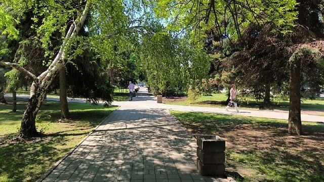 Почти 45 тысяч ростовчан приняли участие в голосовании по благоустройству территорий - RostovGazeta, 30.05.2025