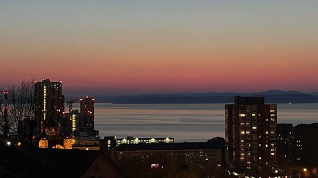 Картина дня в Приморье: торговля детьми, экзотика грибников и тонны бесплатных даров - Восток-Медиа, 31.05.2025