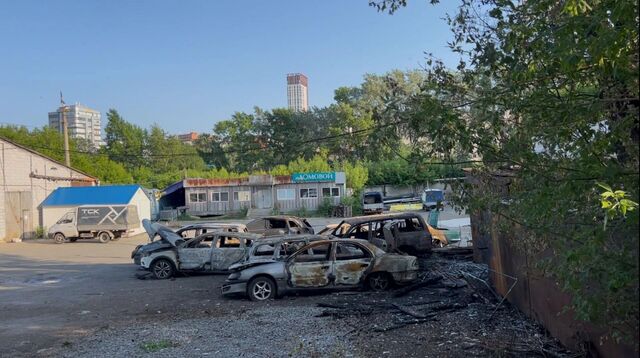 Житель Екатеринбурга поджег тополиный пух и уничтожил 8 автомобилей - Новости Нижнего Тагила и Свердловской области - TagilCity, 12.06.2025