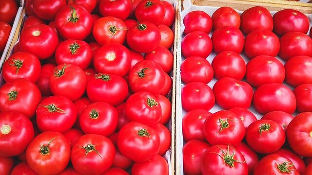 Крупная партия томатов в Свердловской области из Казахстана оказалась опасной - Новости Нижнего Тагила и Свердловской области - TagilCity, 12.06.2025