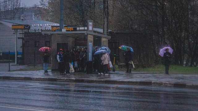 13 июня в Приморье пойдут дожди - Восток-Медиа, 13.06.2025